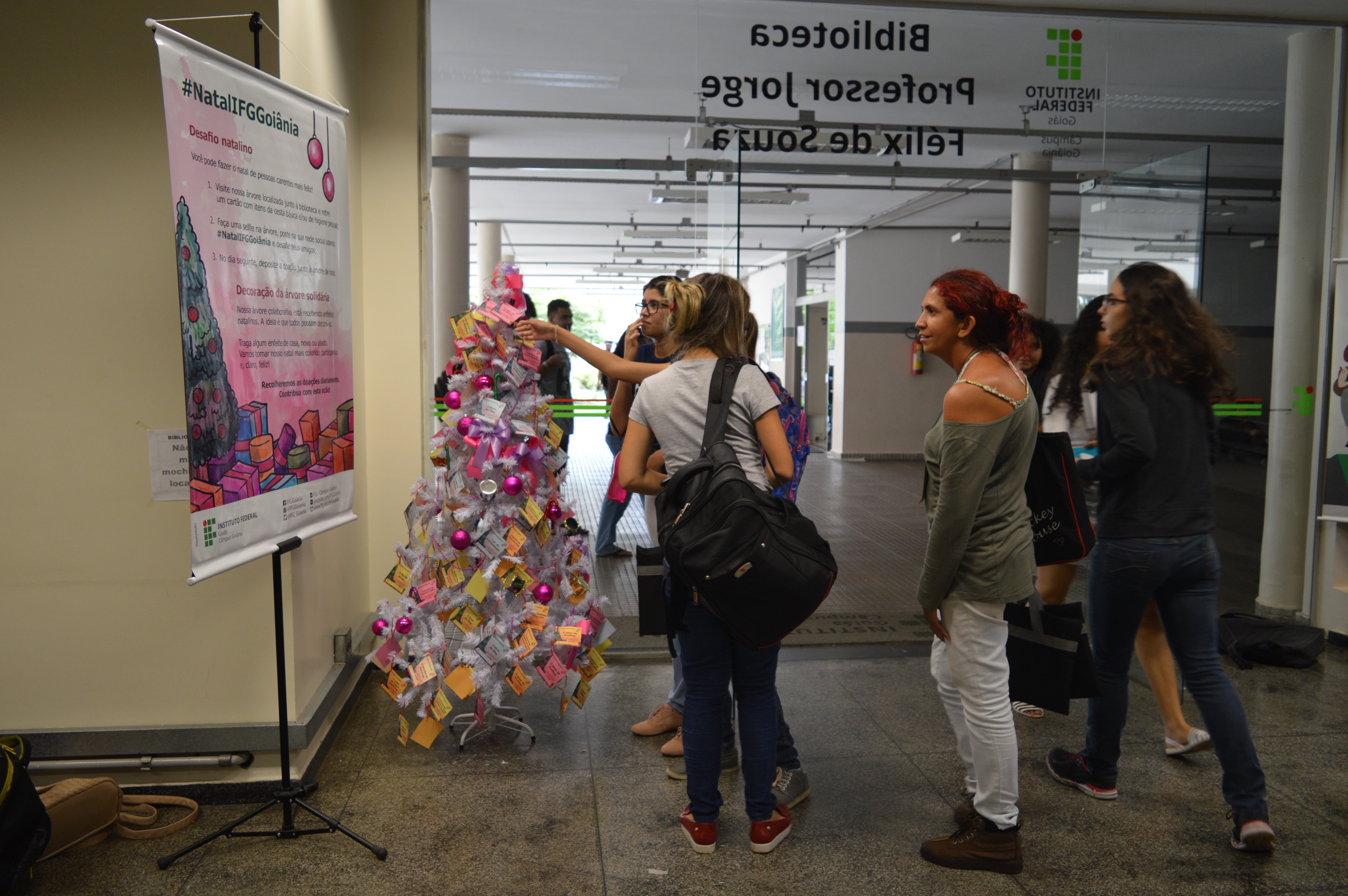 Alunos acompanham a montagem da árvore de Natal, símbolo da campanha #NatalIFGGoiânia